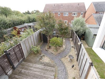Picture 12